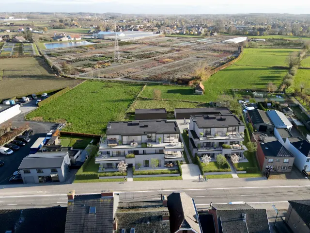 Bloemenveld